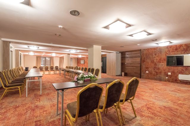 Lion Borovets Hotel - Business facilities
