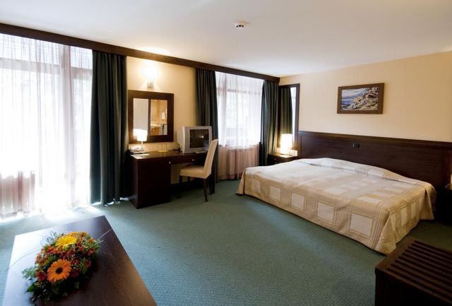 Lion Borovets Hotel - Twin large room